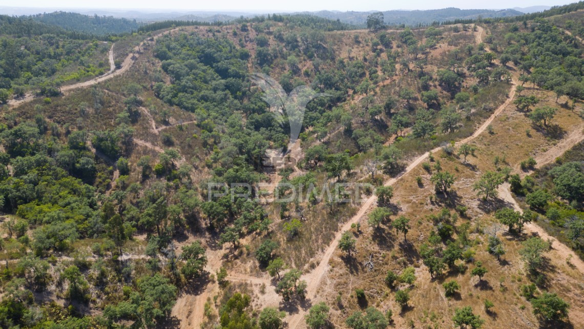 Finca ganadera 3 habitaciones en venta en São Salvador e Santa Maria