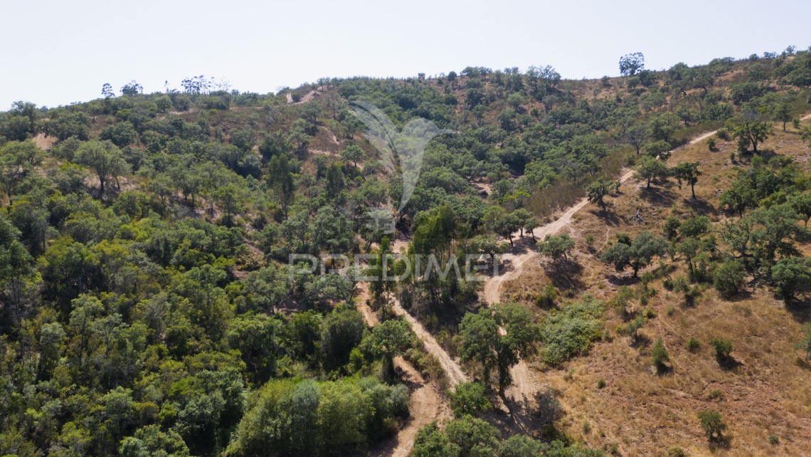 Finca ganadera 3 habitaciones en venta en São Salvador e Santa Maria