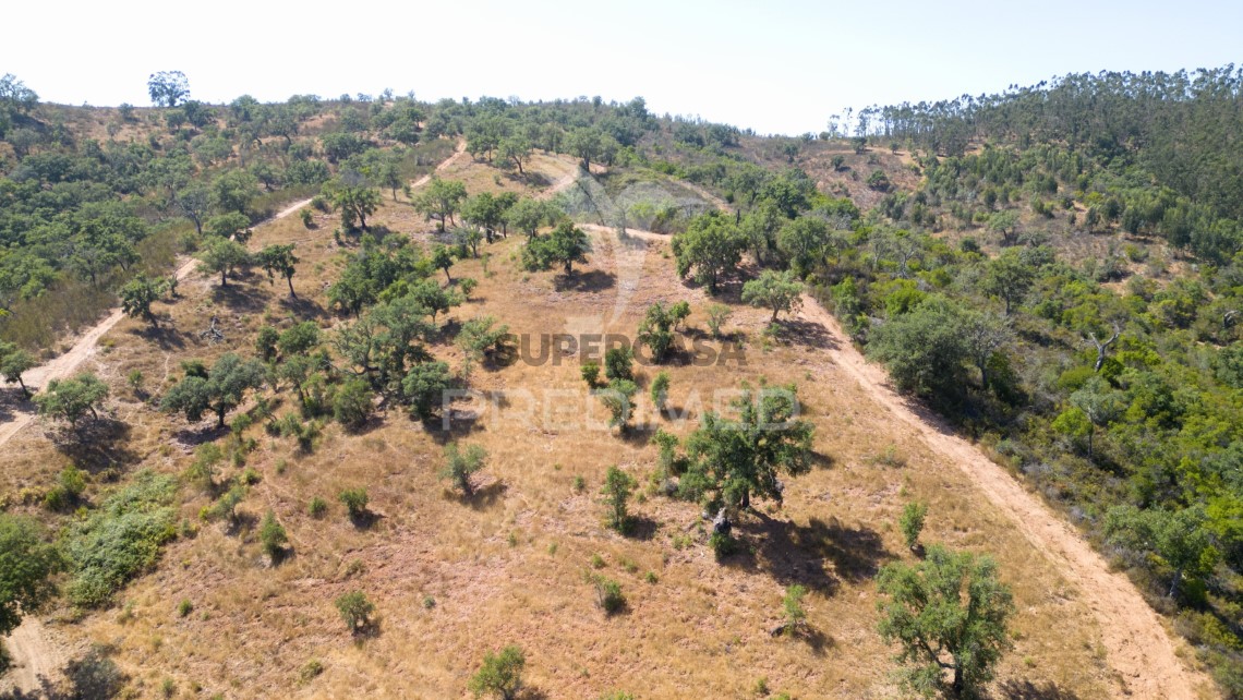 Finca ganadera 3 habitaciones en venta en São Salvador e Santa Maria