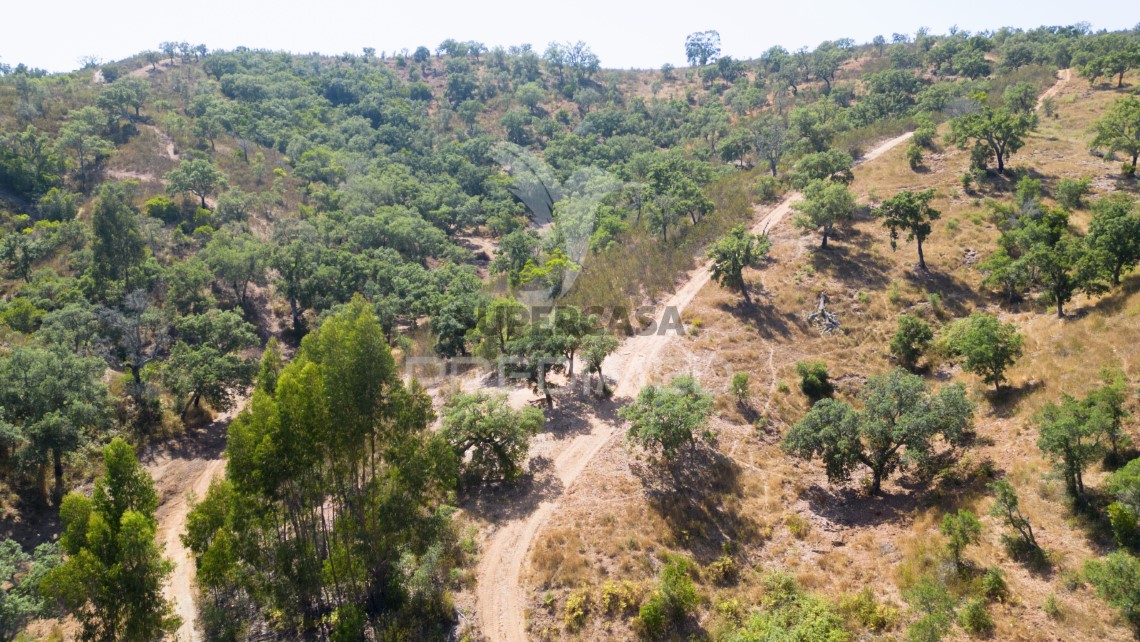 Finca ganadera 3 habitaciones en venta en São Salvador e Santa Maria