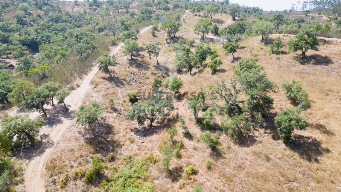 Finca ganadera 3 habitaciones en venta en São Salvador e Santa Maria