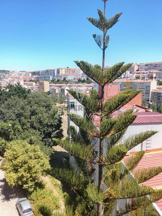 Apartment 3 Zimmer verkaufen auf Massamá e Monte Abraão
