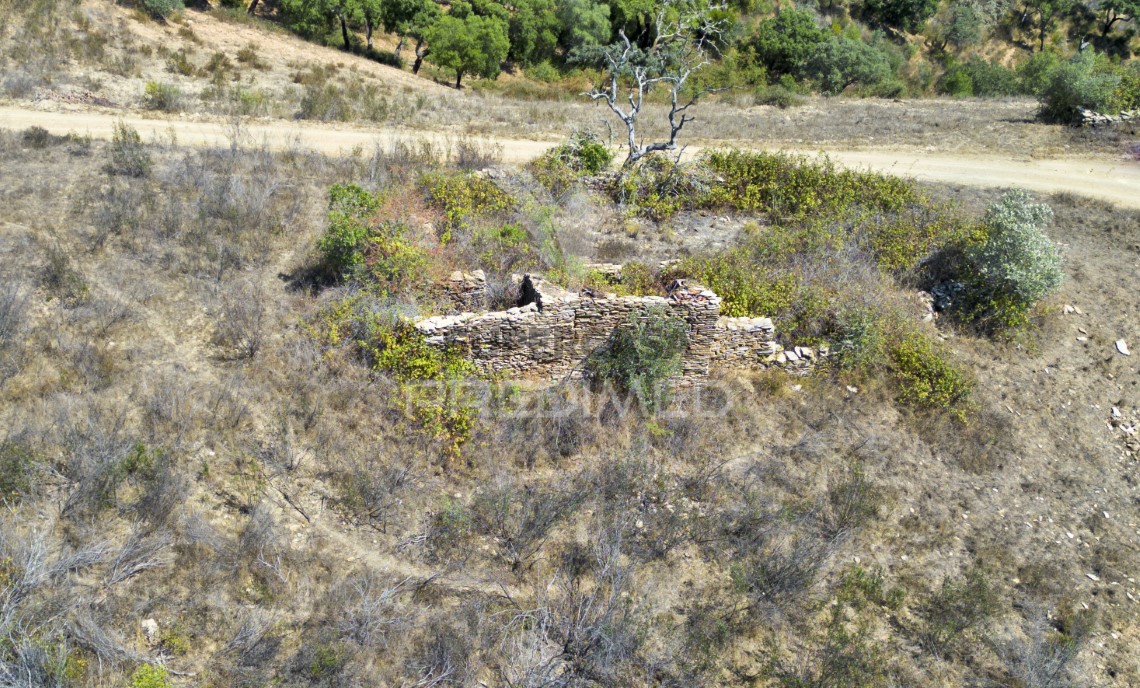 Finca ganadera 3 habitaciones en venta en São Salvador e Santa Maria