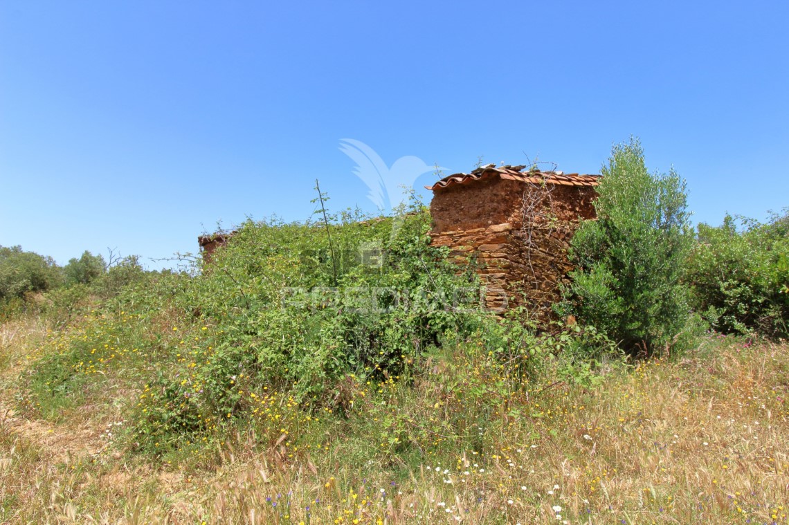 Finca ganadera 3 habitaciones en venta en São Salvador e Santa Maria