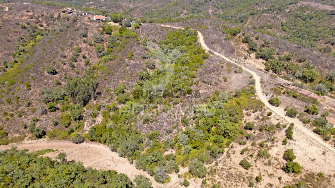 Finca ganadera 3 habitaciones en venta en São Salvador e Santa Maria