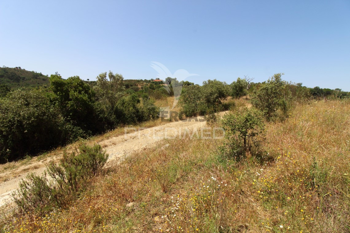 Finca ganadera 3 habitaciones en venta en São Salvador e Santa Maria