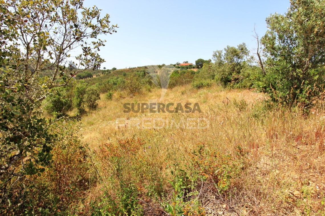 Finca ganadera 3 habitaciones en venta en São Salvador e Santa Maria