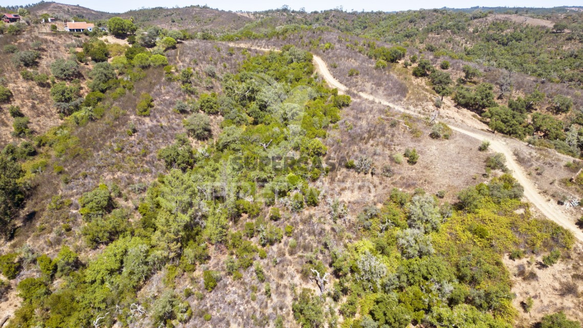 Finca ganadera 3 habitaciones en venta en São Salvador e Santa Maria