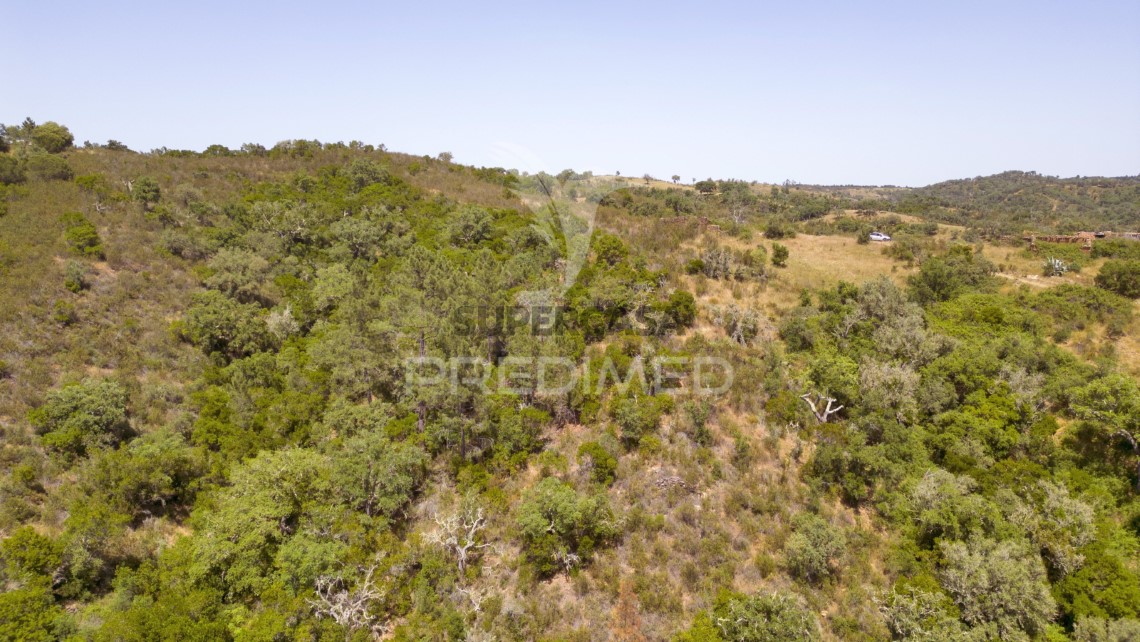 Finca ganadera 3 habitaciones en venta en São Salvador e Santa Maria