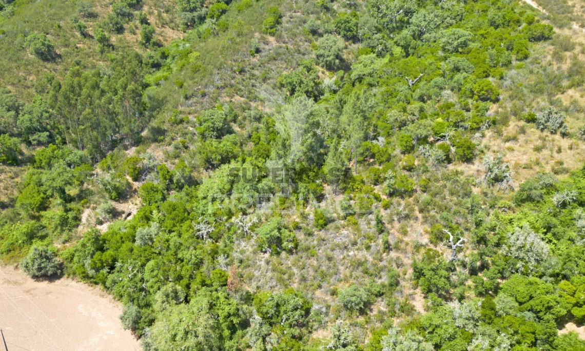 Finca ganadera 3 habitaciones en venta en São Salvador e Santa Maria