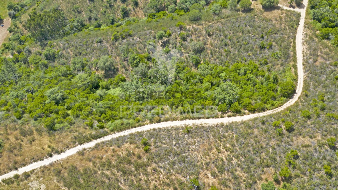Finca ganadera 3 habitaciones en venta en São Salvador e Santa Maria