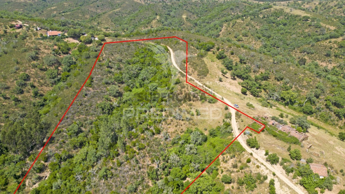 Finca ganadera 3 habitaciones en venta en São Salvador e Santa Maria