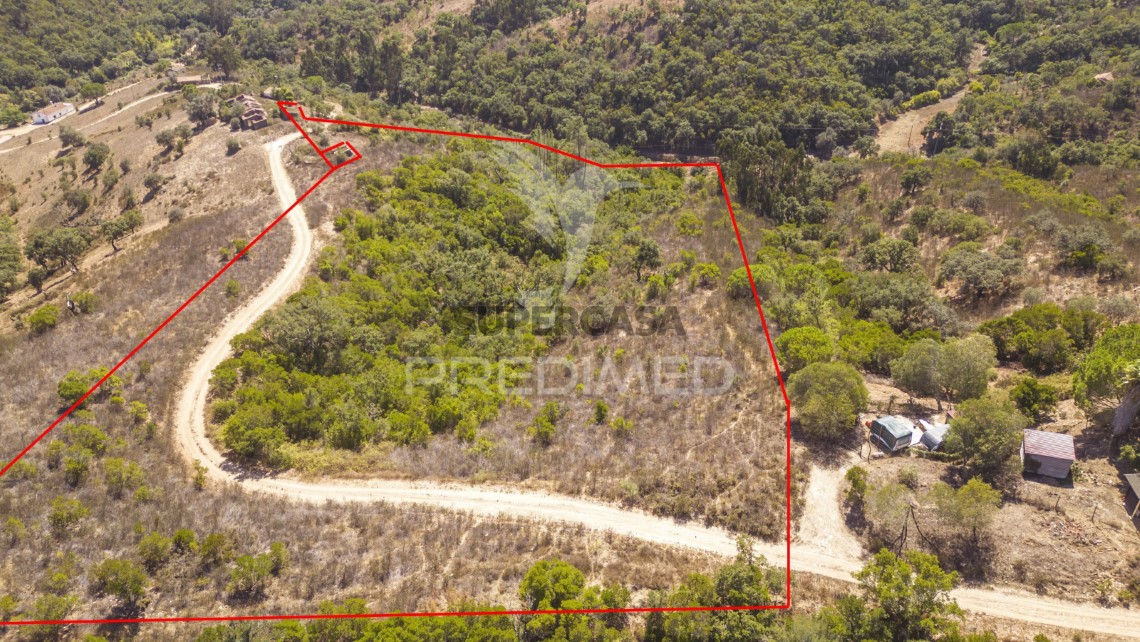 Finca ganadera 3 habitaciones en venta en São Salvador e Santa Maria
