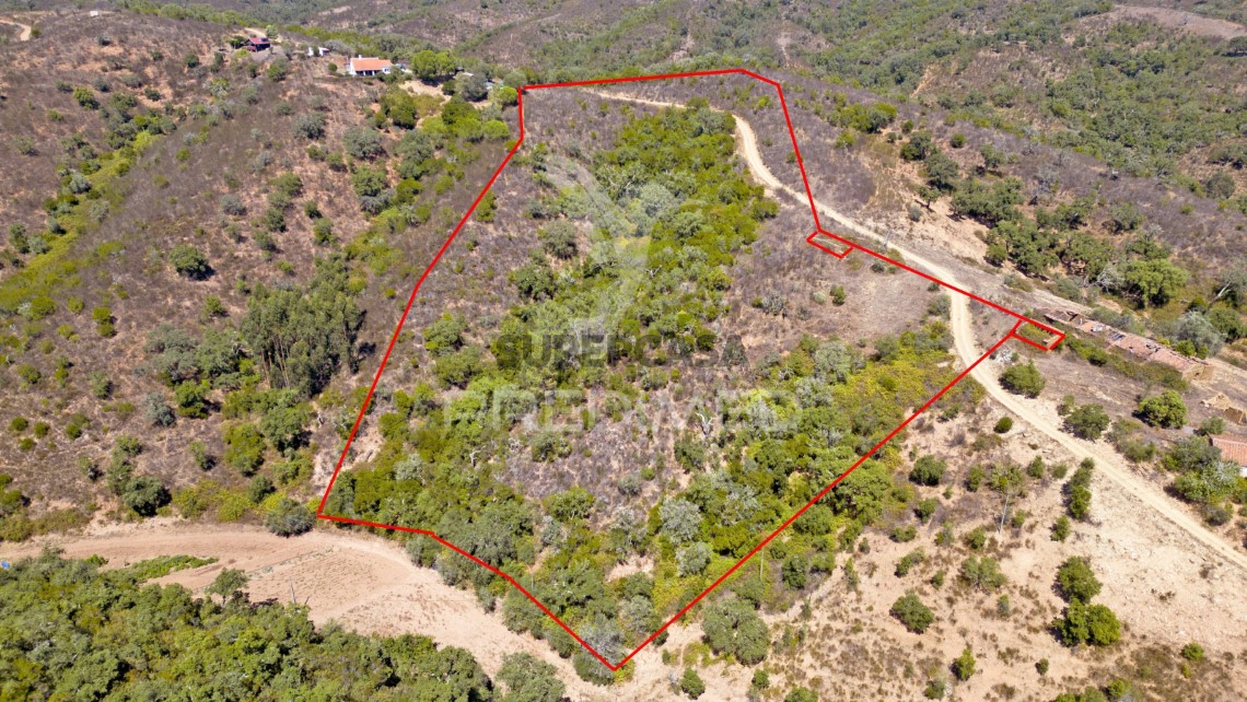 Finca ganadera 3 habitaciones en venta en São Salvador e Santa Maria