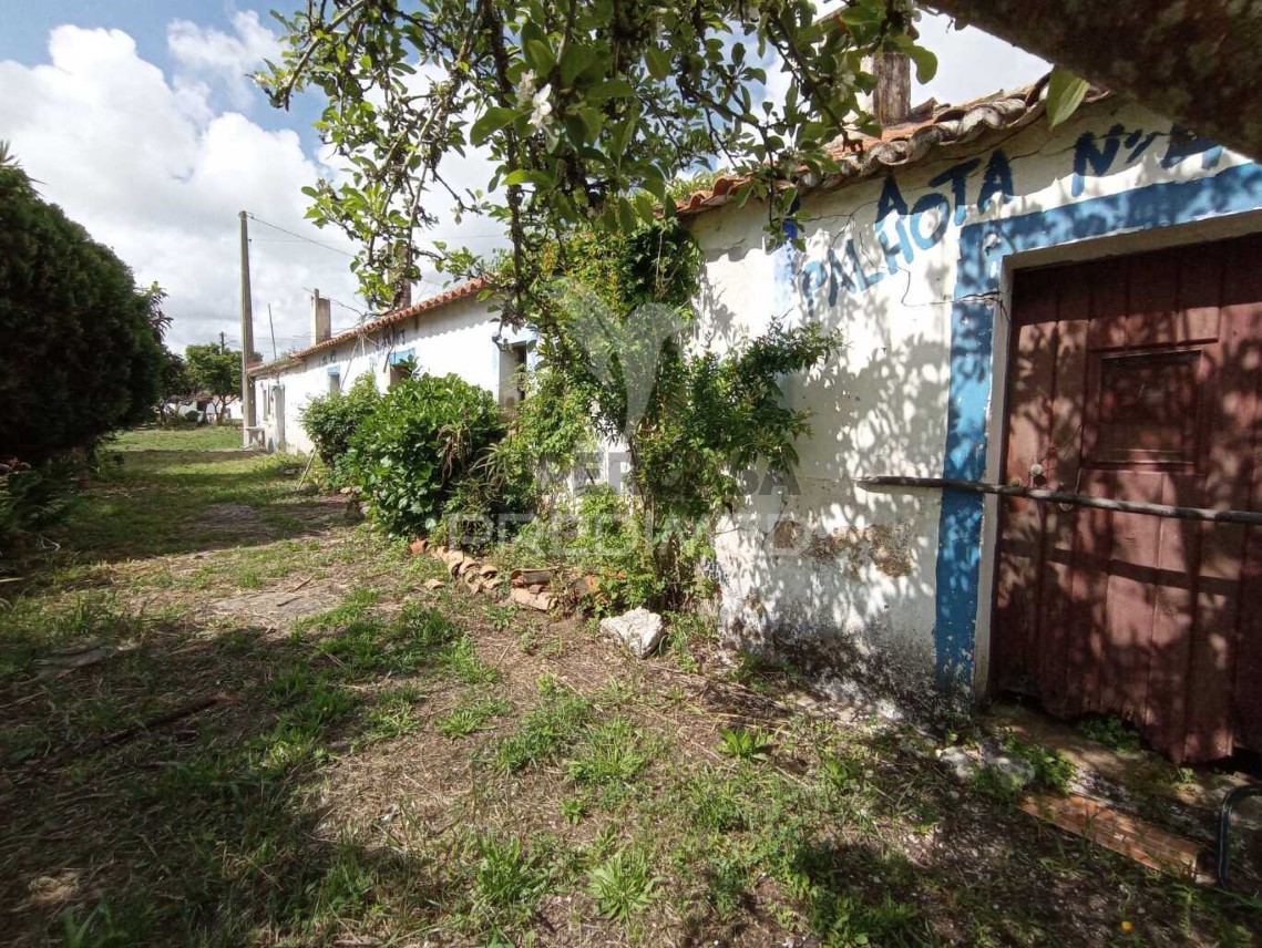 Finca ganadera 3 habitaciones en venta en São Luís