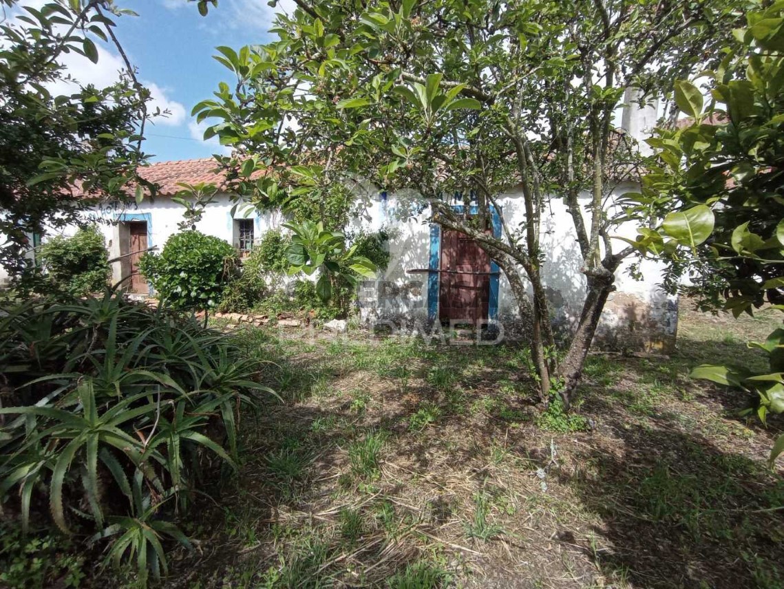 Finca ganadera 3 habitaciones en venta en São Luís