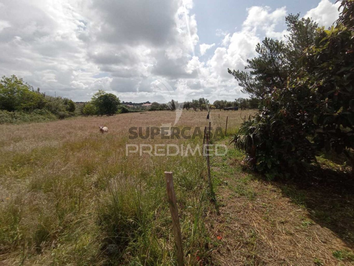Finca ganadera 3 habitaciones en venta en São Luís