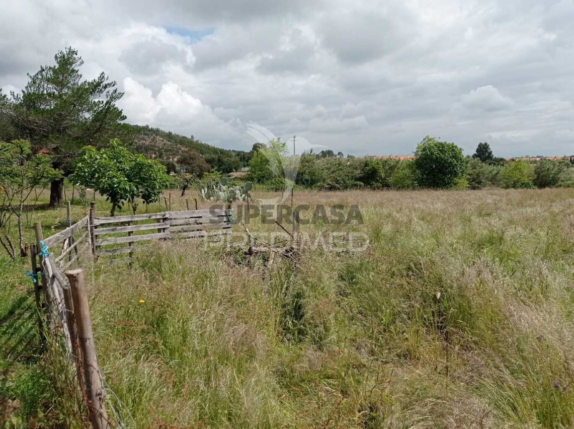 Finca ganadera 3 habitaciones en venta en São Luís