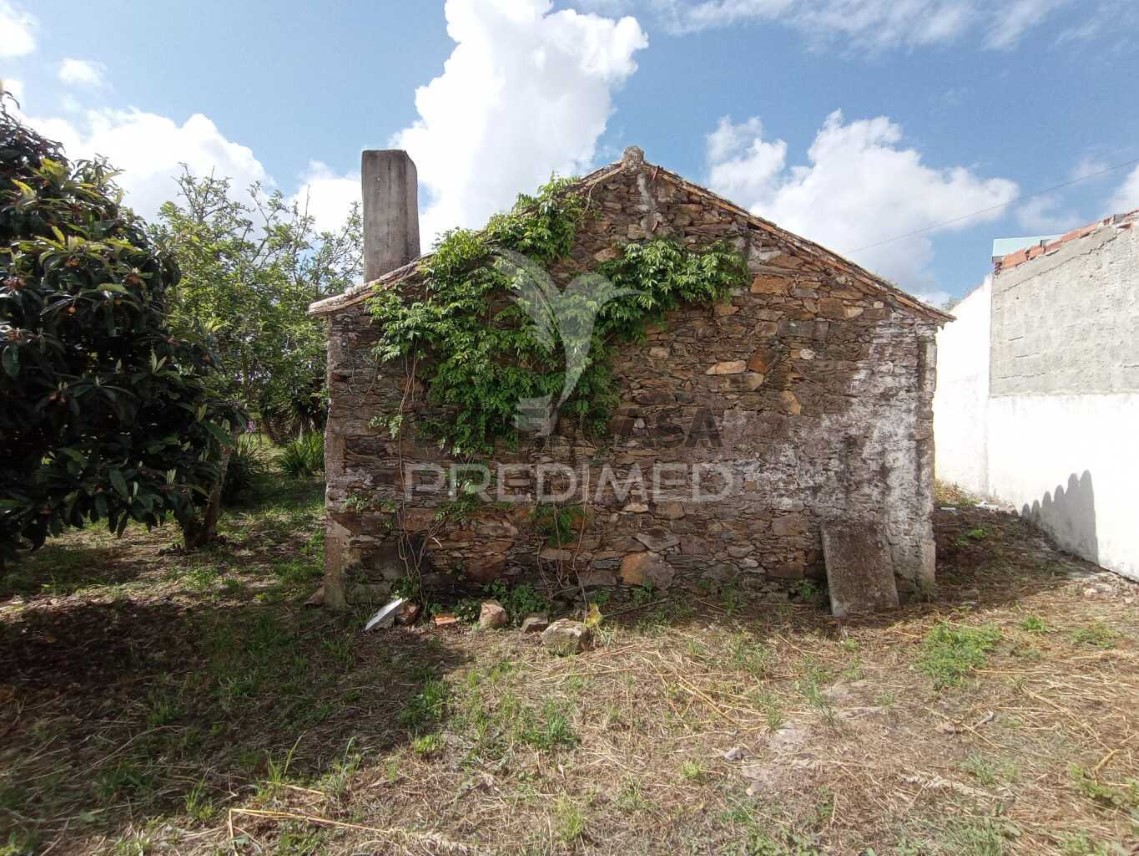 Finca ganadera 3 habitaciones en venta en São Luís