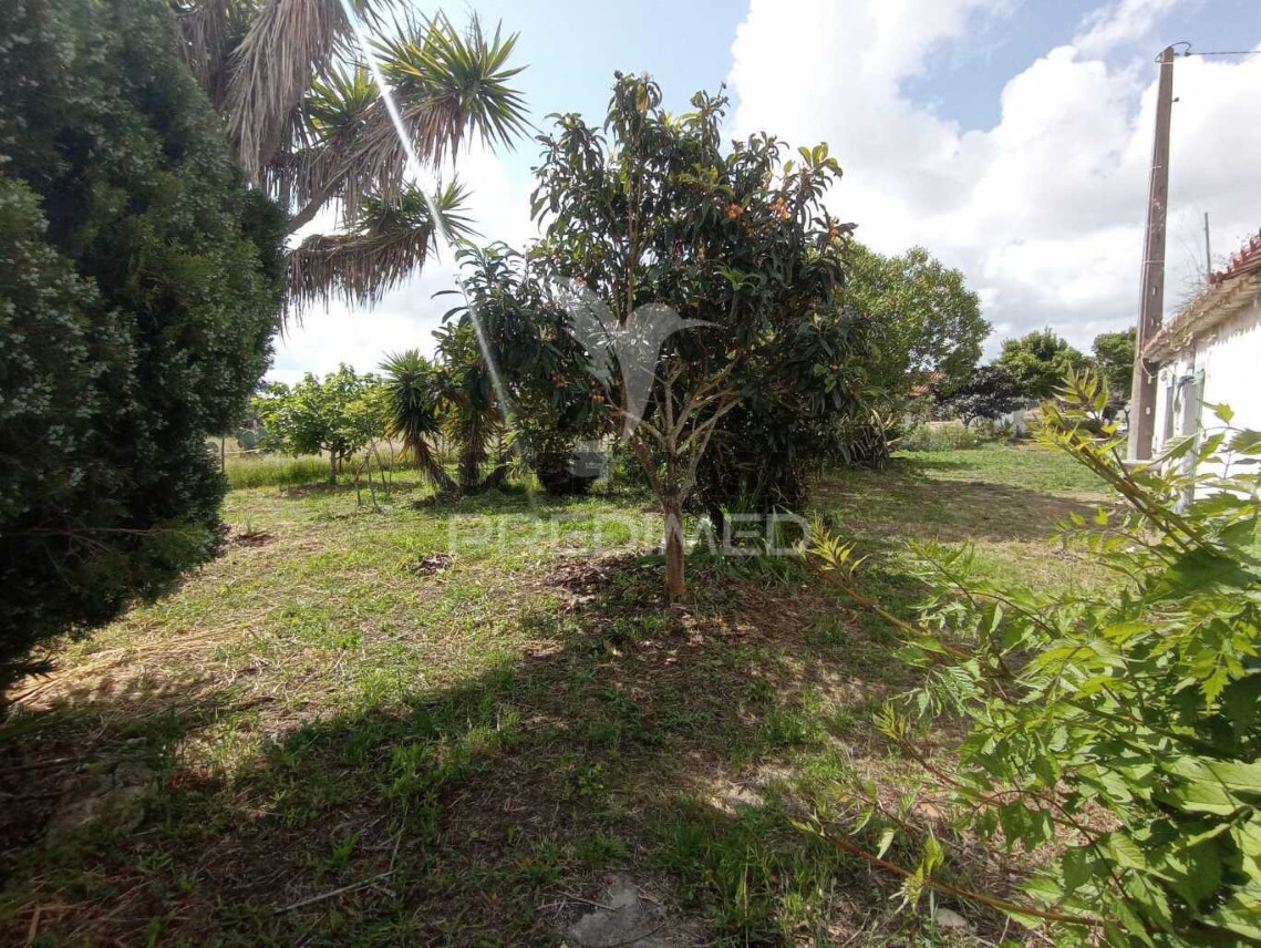 Finca ganadera 3 habitaciones en venta en São Luís