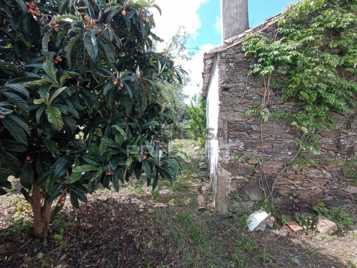Finca ganadera 3 habitaciones en venta en São Luís