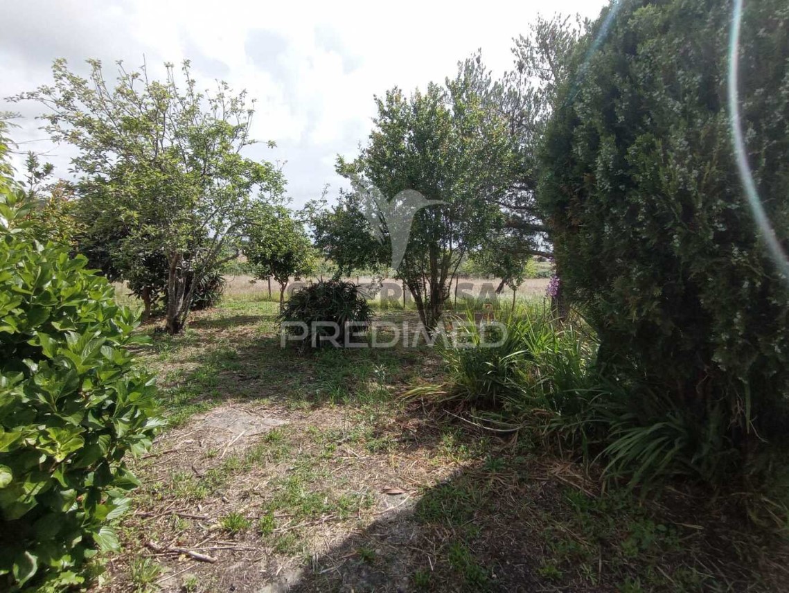 Finca ganadera 3 habitaciones en venta en São Luís