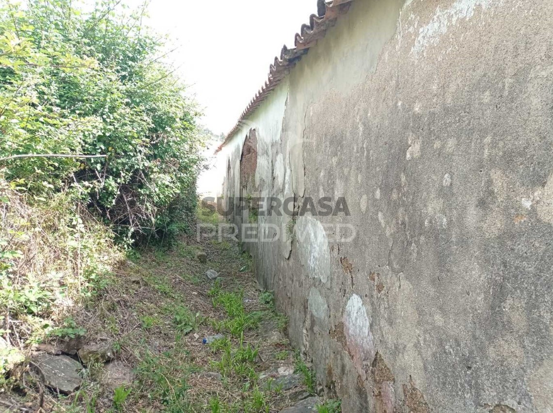 Finca ganadera 3 habitaciones en venta en São Luís
