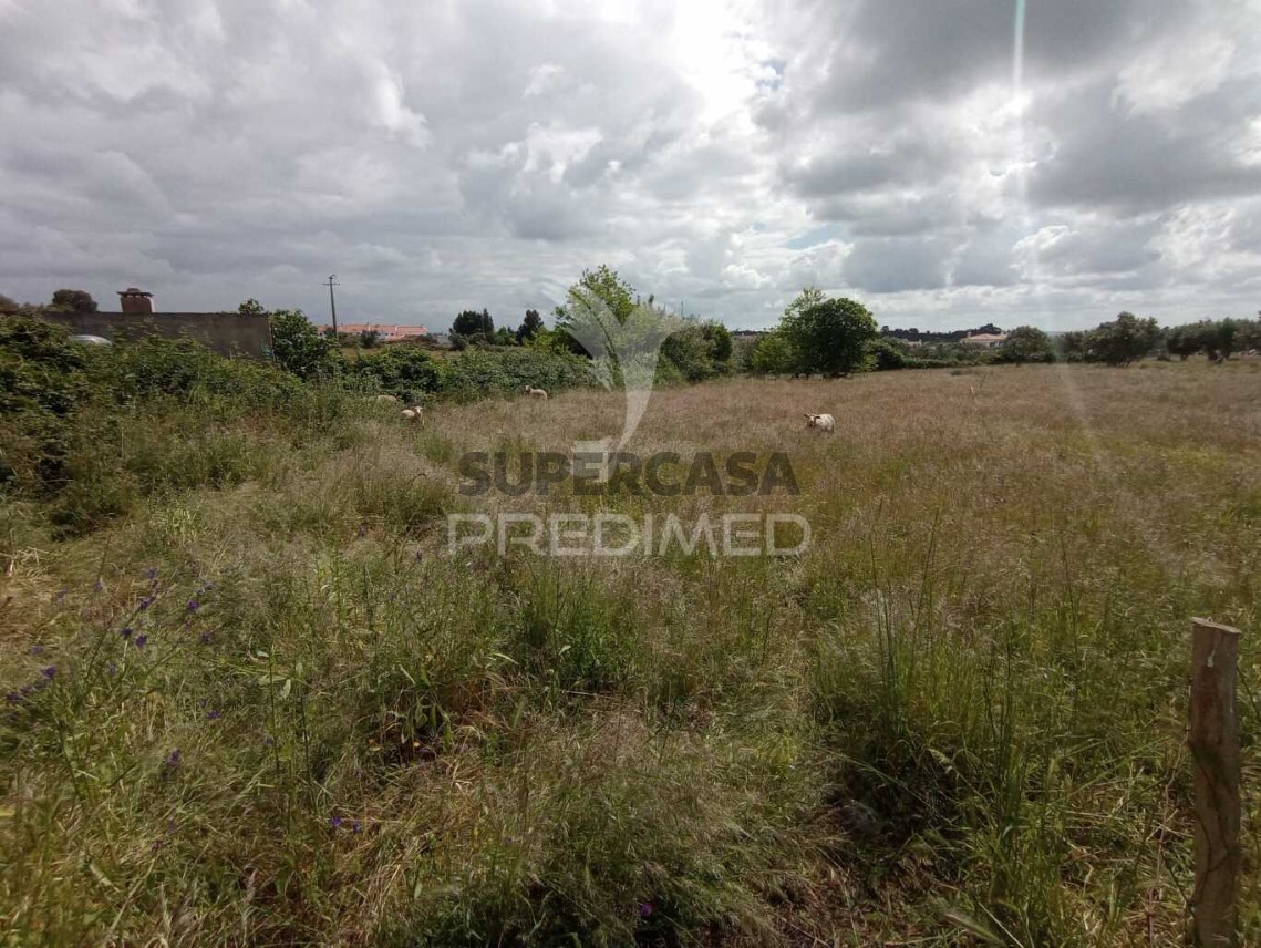 Finca ganadera 3 habitaciones en venta en São Luís