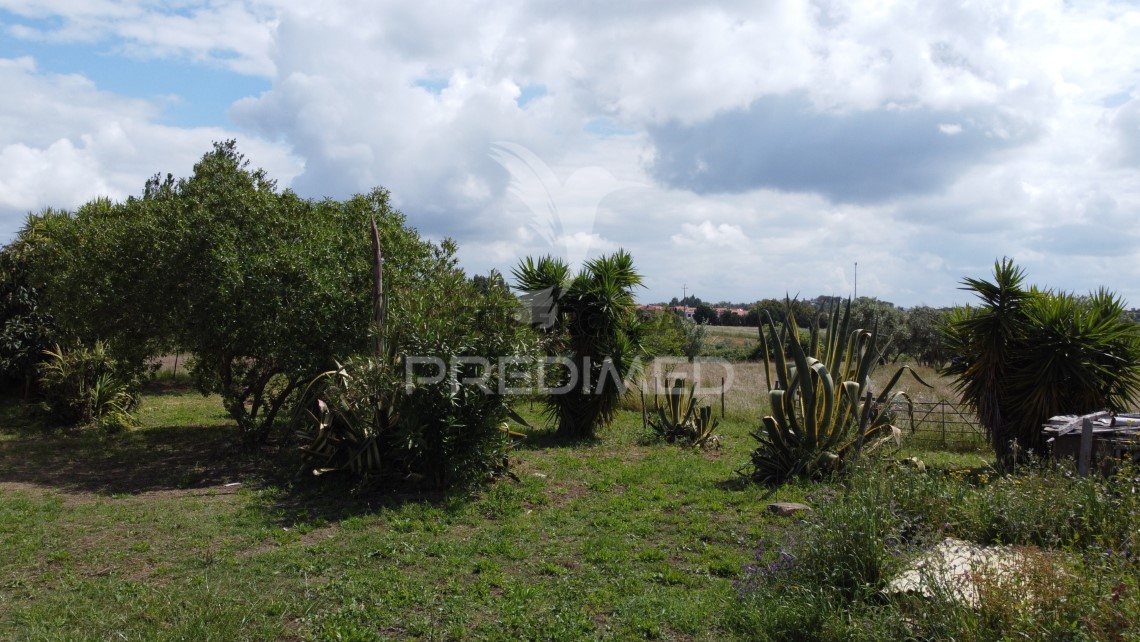 Finca ganadera 3 habitaciones en venta en São Luís