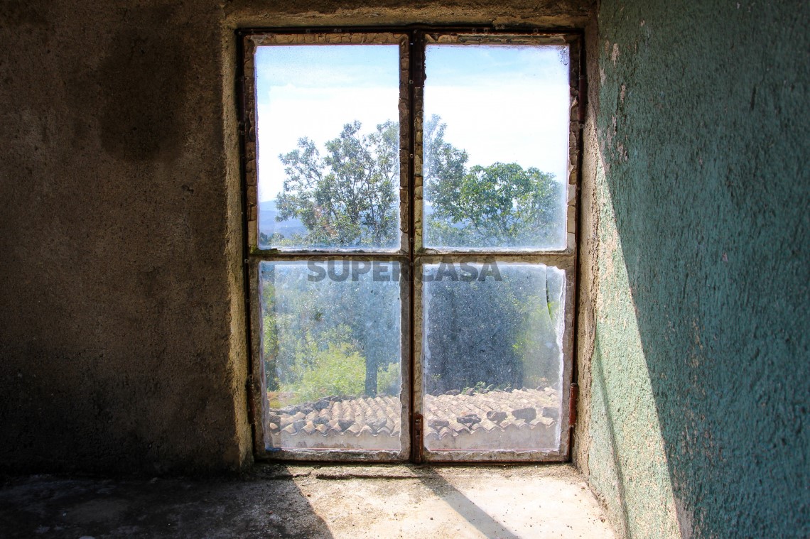 IMG_0788
