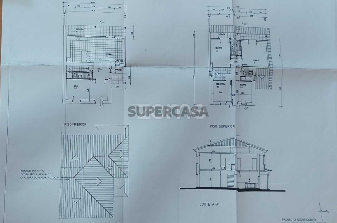 Planta