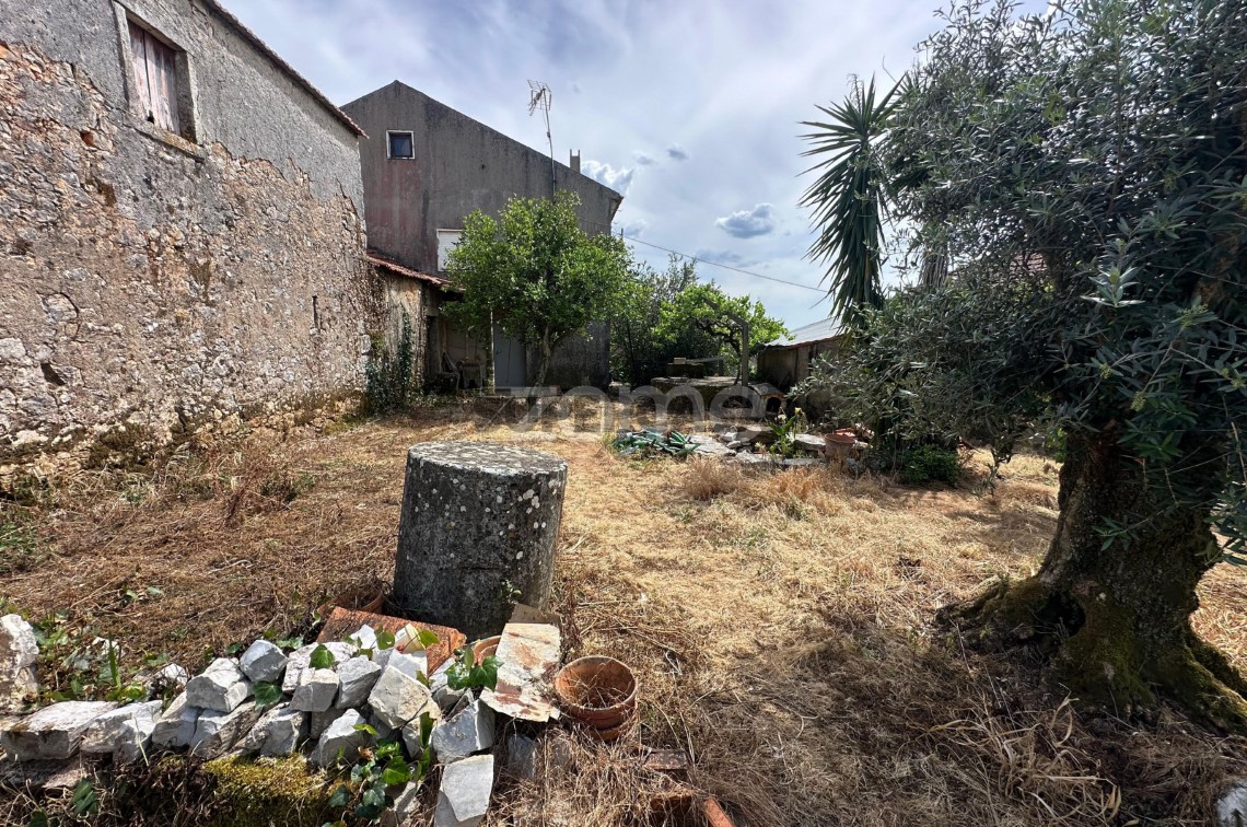 Quintal/Jardim