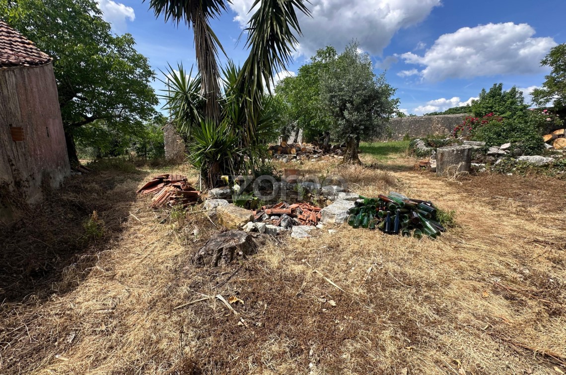 Quintal/Jardim