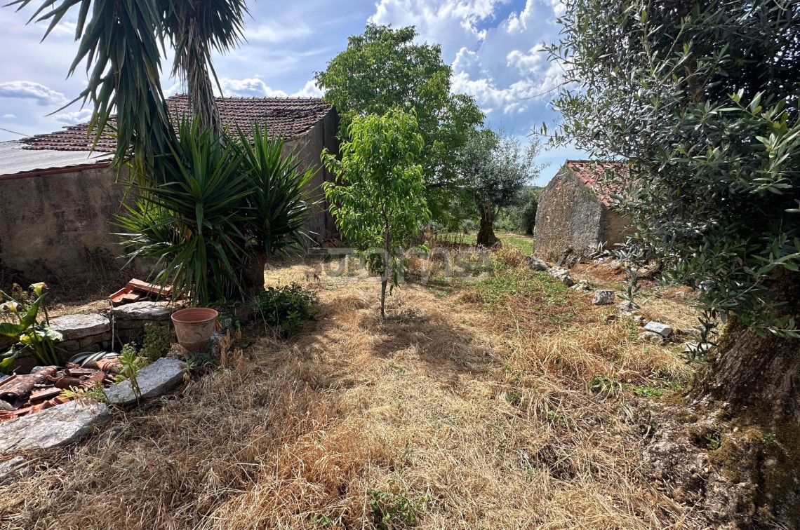 Quintal/Jardim