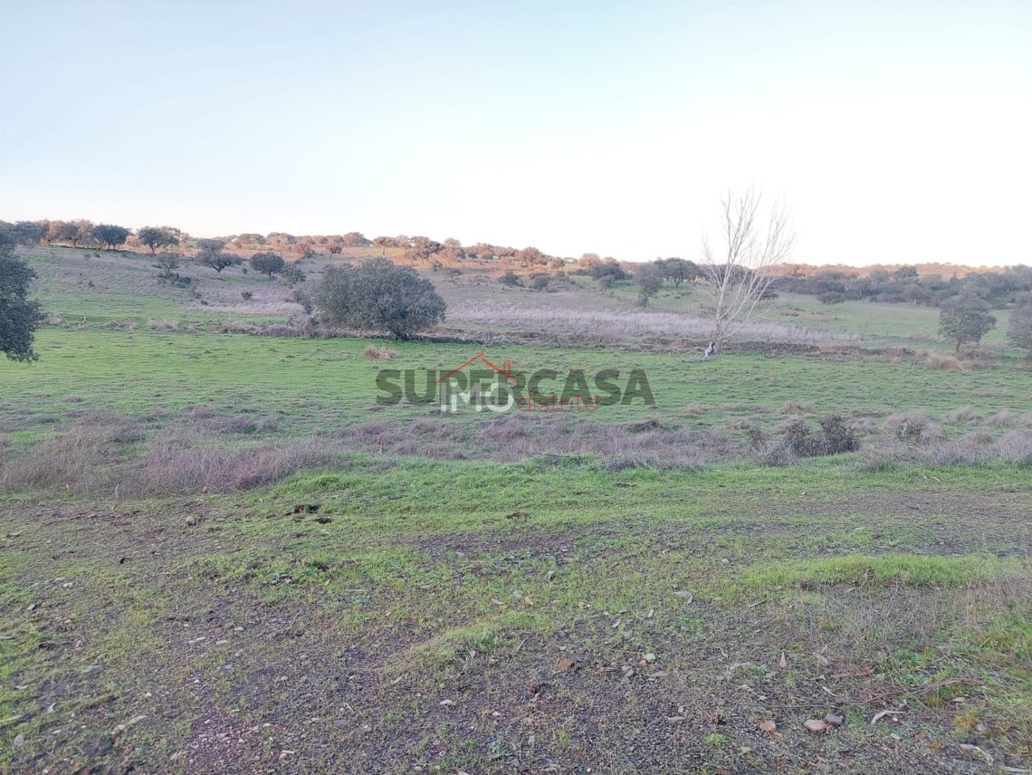 Terreno