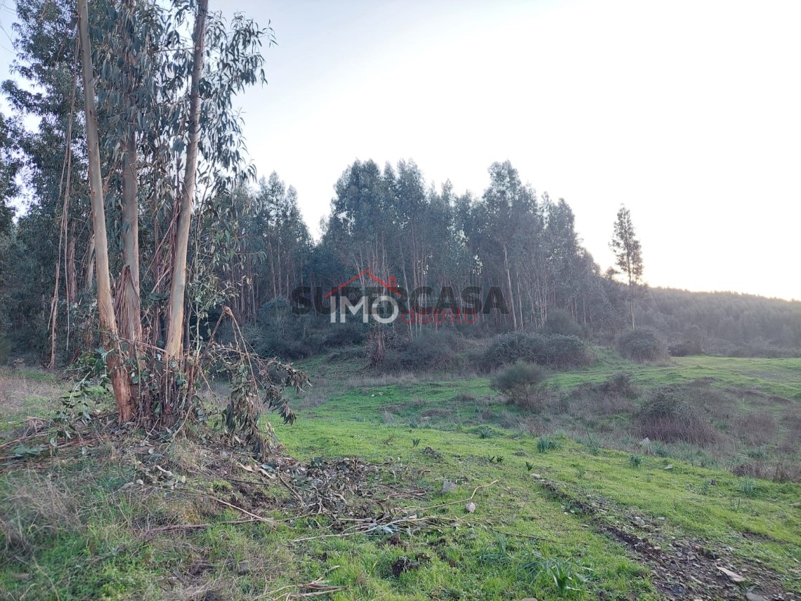 Terreno