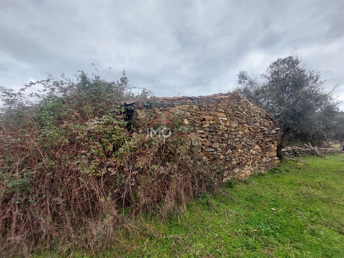 Terreno