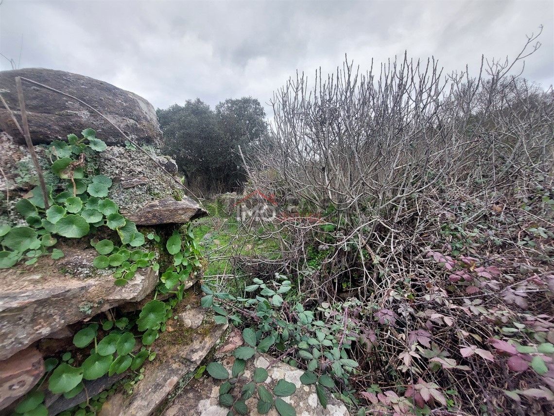 Terreno