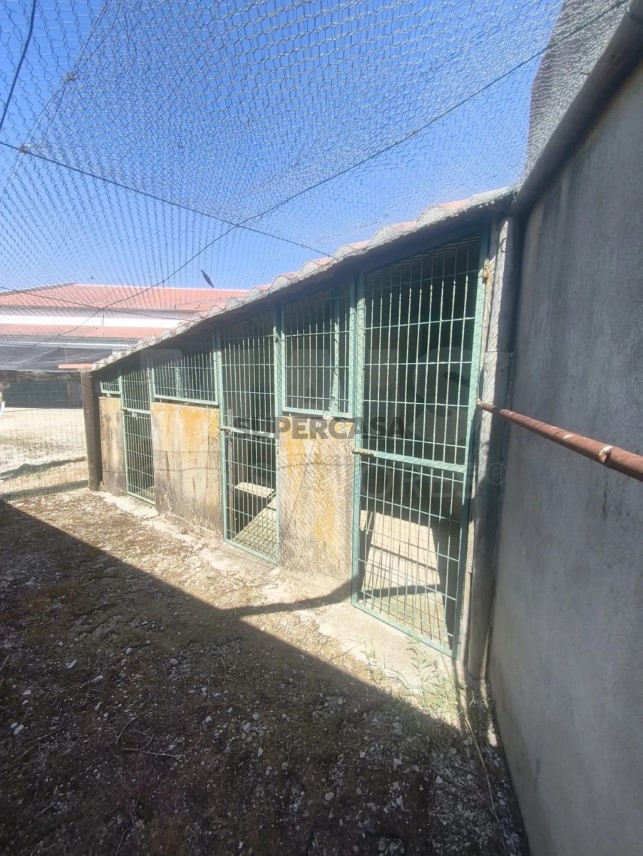 Moradia T5 à venda em Branca
