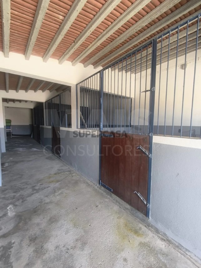 Moradia T5 à venda em Branca