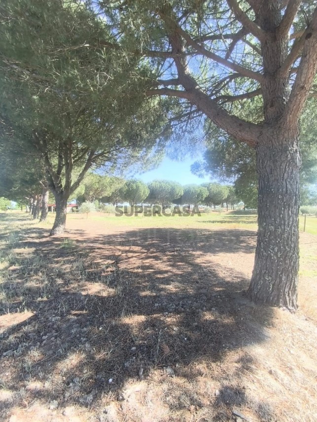 Moradia T5 à venda em Branca