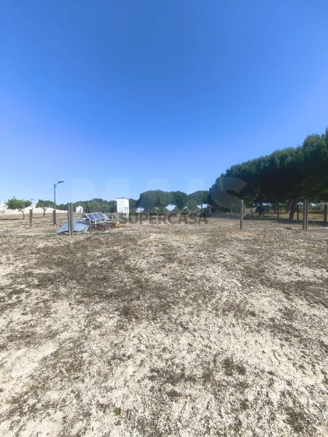 Moradia T5 à venda em Branca