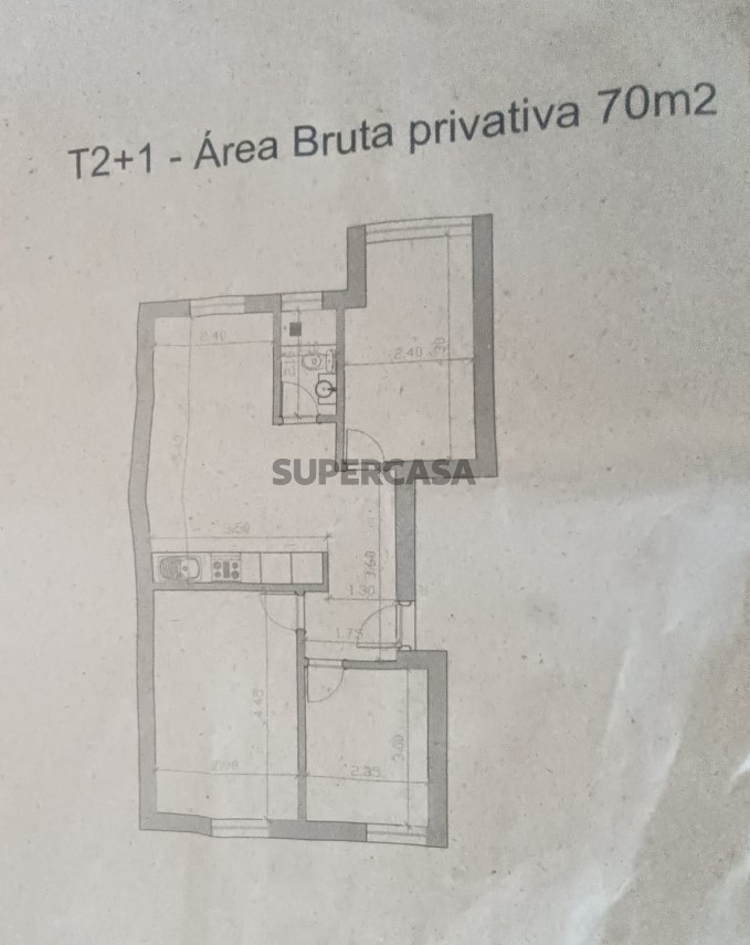 Planta