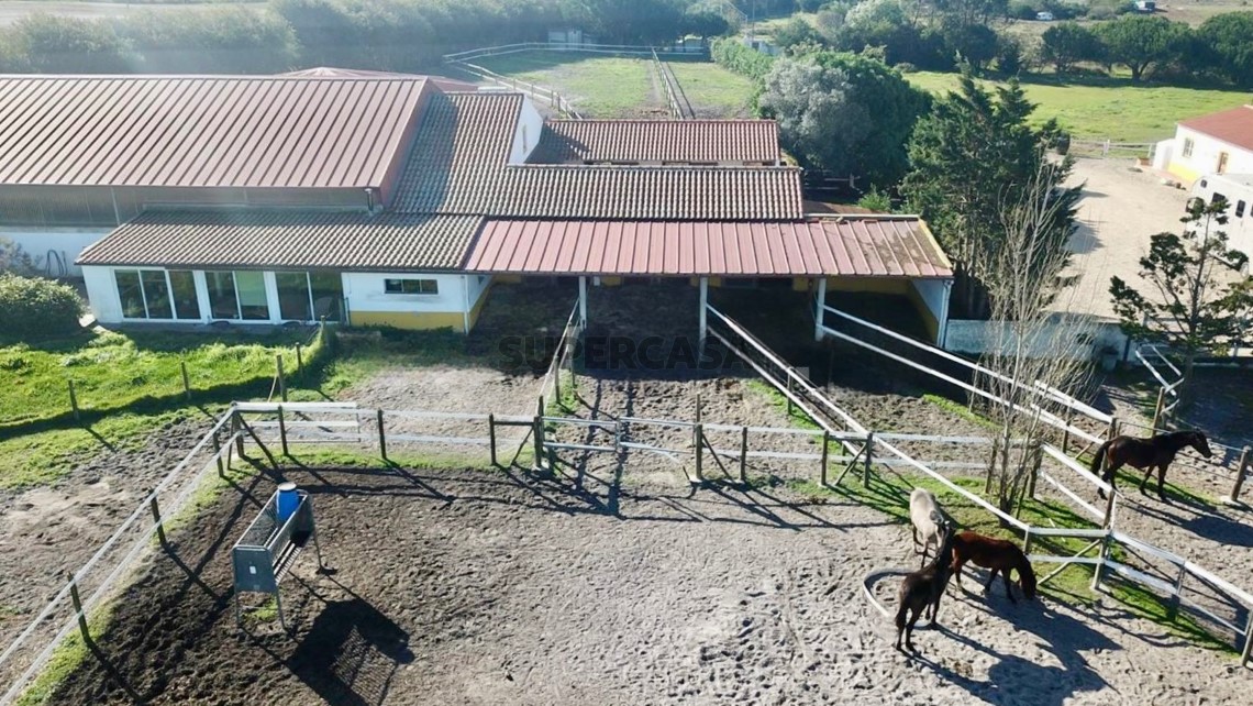 Finca ganadera 9 habitaciones en venta en São Teotónio