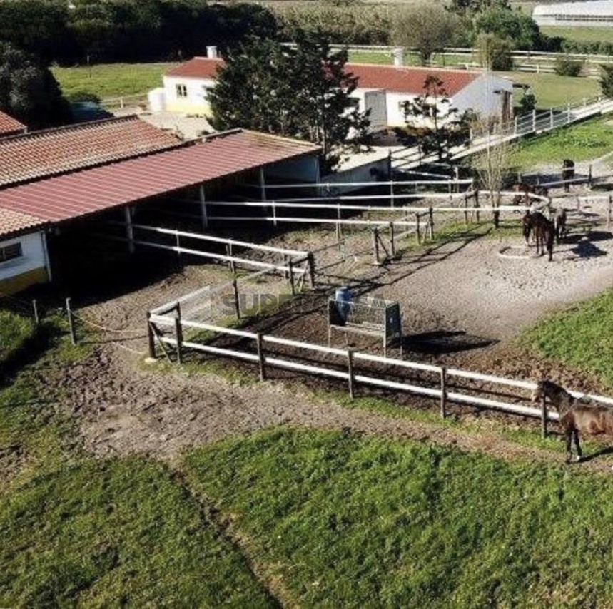 Turismo rural com Centro Equestre - Sudoeste Alentejano-Perto da Praia
