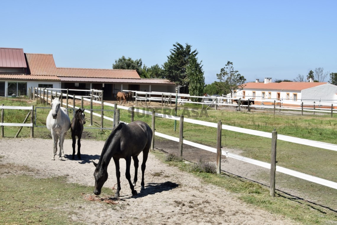 Turismo rural com Centro Equestre - Sudoeste Alentejano-Perto da Praia