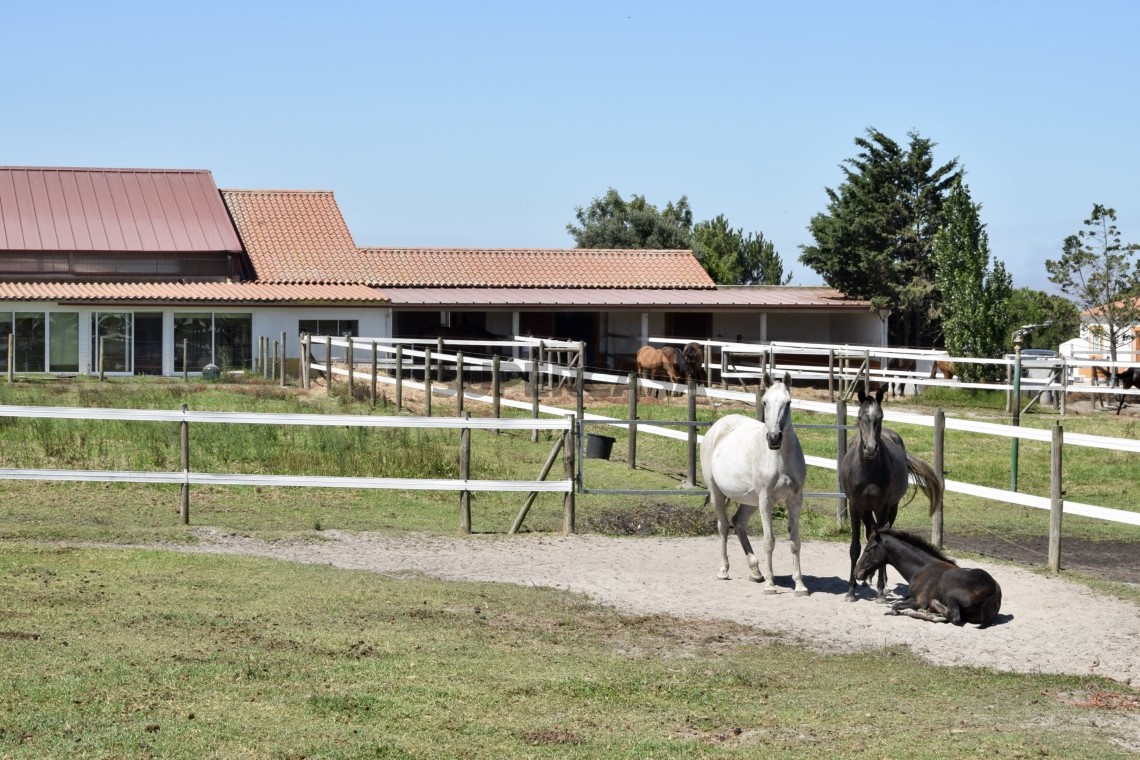 Turismo rural com Centro Equestre - Sudoeste Alentejano-Perto da Praia