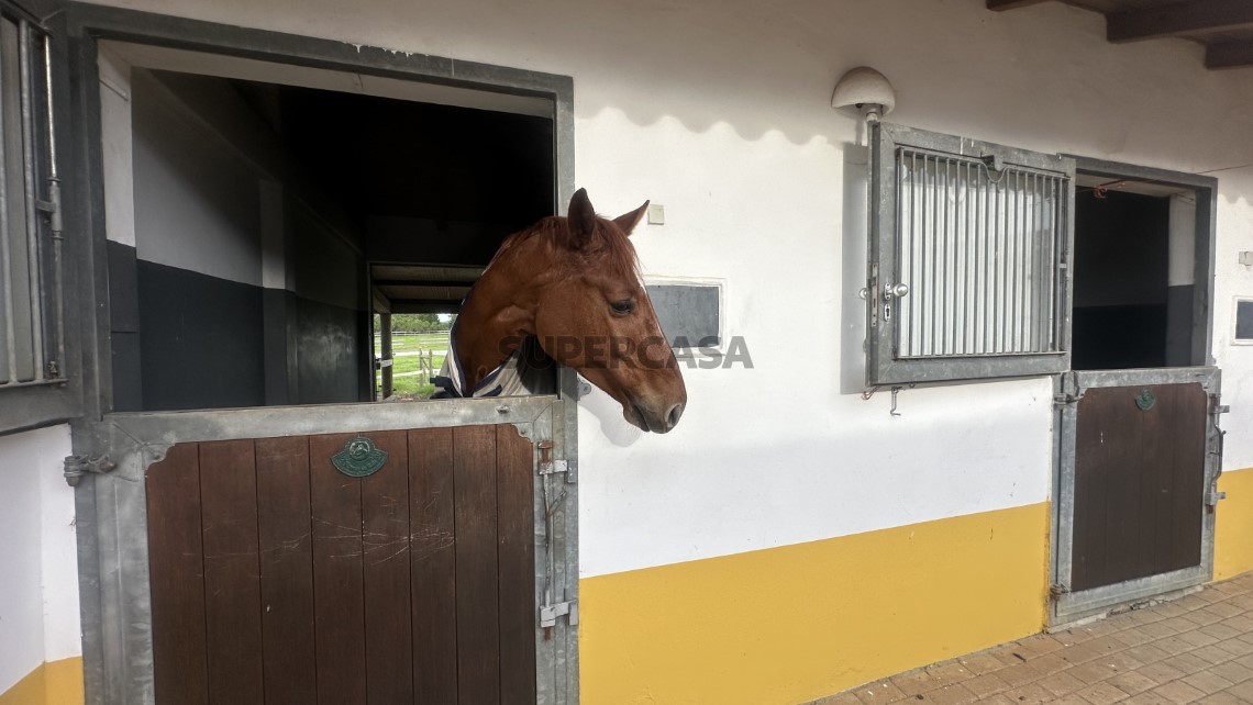 Turismo rural com Centro Equestre - Sudoeste Alentejano-Perto da Praia