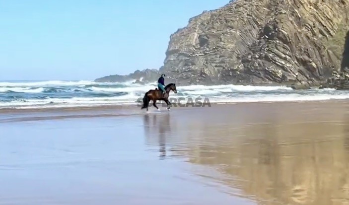 Turismo rural com Centro Equestre - Sudoeste Alentejano-Perto da Praia