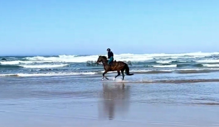 Turismo rural com Centro Equestre - Sudoeste Alentejano-Perto da Praia